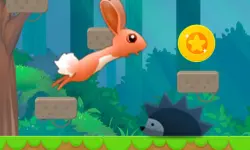 Rabbit Ben