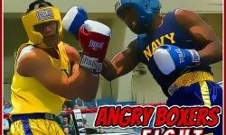 Angry Boxers Fight