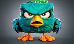 angry bird vs pig