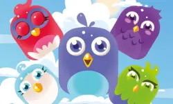 Bird Match Master