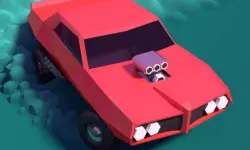 Car Driver Highway