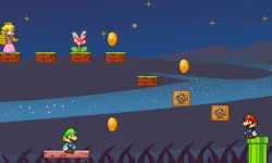 Mario Bros Save Princess