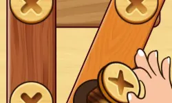 Screw Nuts Bolts: Wood Solve
