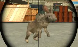 Rabbit Shooter
