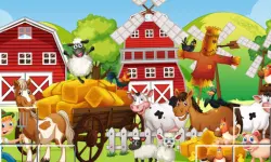 Farm Pic Tetriz
