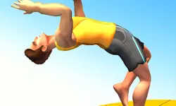 Flip Trickster