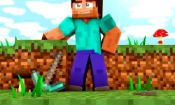 Cup and Minecraft