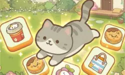 KittyMatch
