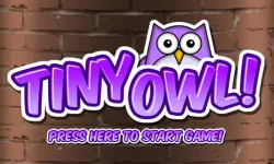 Tiny Owl