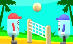 Beach Volleyball