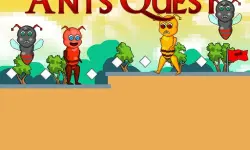 Ants Quest