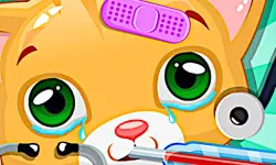 Doctor Pets