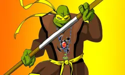 Ninja Turtles Dress Up