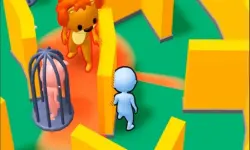 Hide Find Seek 2023