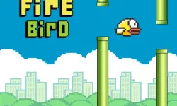 Fire Bird