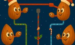 Almond Connection Link Win