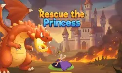Rescue The Princess