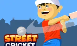 Street Cricket