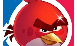 Angry bird Friends