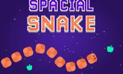 Spacial Snake