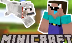 Minicraft: Steve And Wolf Adventure