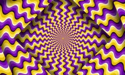 Optical Illusion