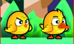 Chicken And Duck Brothers