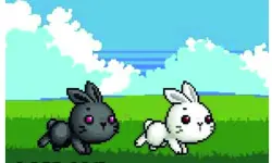 Bu Bunny Two Rabbit