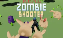 Real Zombie Shooter