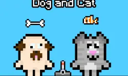 Dog and Cat