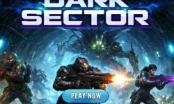 Dark Sector