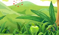 Fruit Cutter