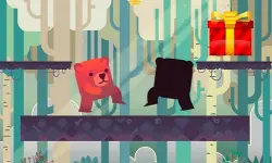 Bear Adventure