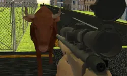 Angry Bull Shooter