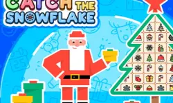 Catch The Snowflake