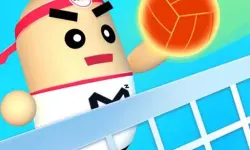 3D Amazing VolleyBall