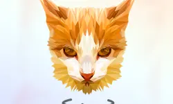 Poly Art