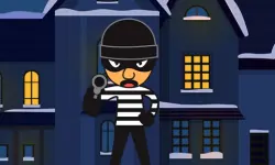 Robbers in the House