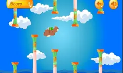 Bear Flight