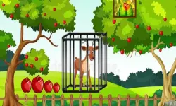 G2M Deer Escape