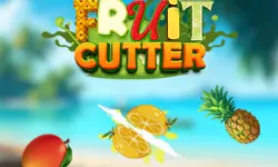 Fruit Cutter Fun