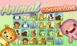 Animal Connection