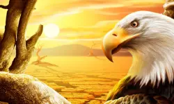 Eagle Slide