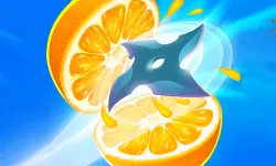 Fruit Slice Juice