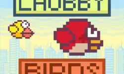 Chubby Birds