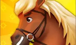 Horse Shoeing