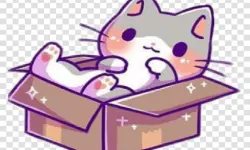 Animals Box 2022