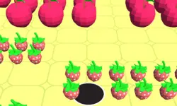Hole Master
