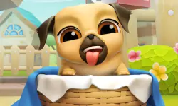 My Cute Puppy Grooming 3D