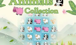 Animals Collection